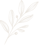 Ilustracion de hoja